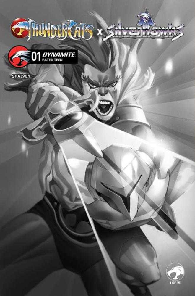 Thundercats X Silverhawks #1 Cover K Inc 1:20 Eric Canete Black & White Variant