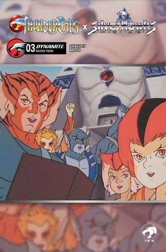 Thundercats X Silverhawks #3 Cover E Animation Art Variant