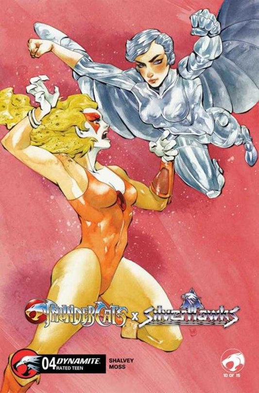 Thundercats X Silverhawks #4 Cover D Chuma Hill Variant
