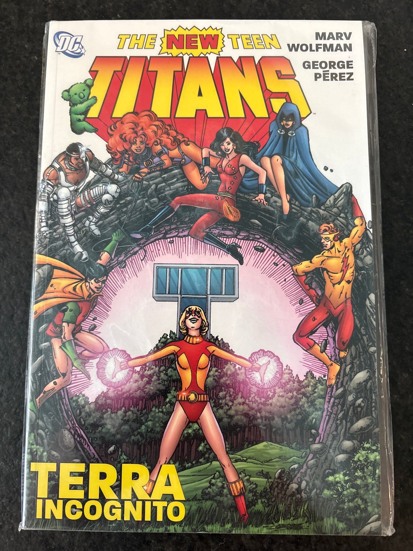 THE NEW TEEN TITANS TERRA INCOGNITO