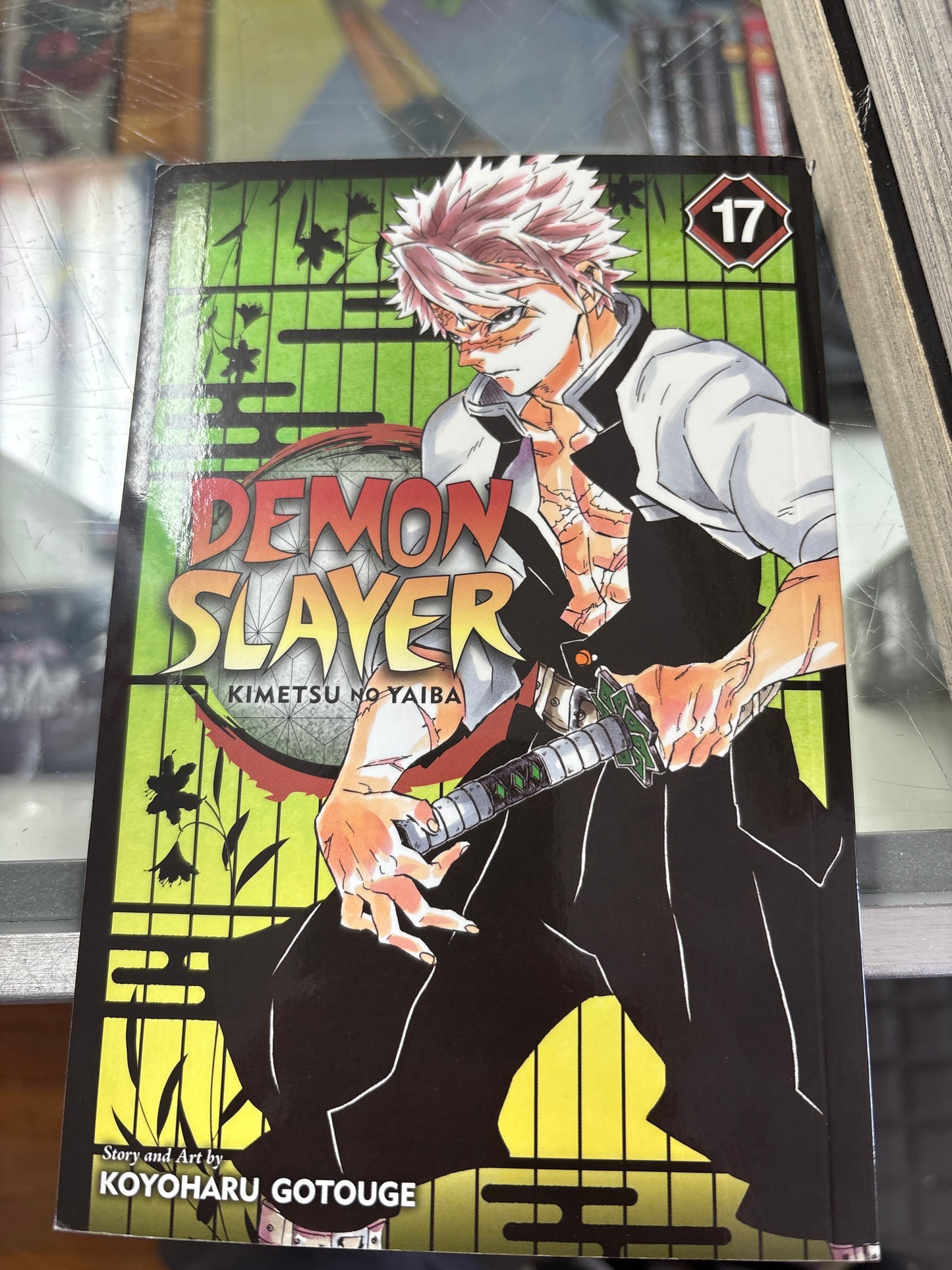 Demon slayer Kimetsu no Yaina #17